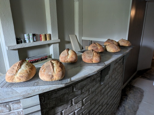 Eight loaves of bread