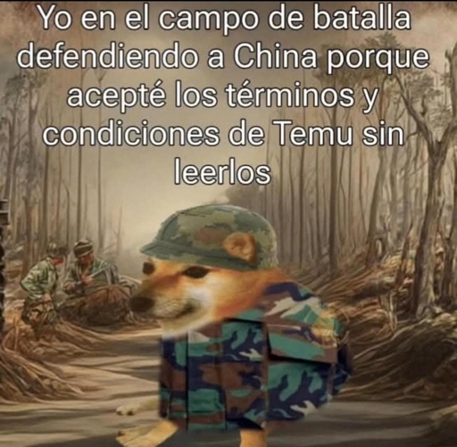 Un perrito vestido de soldado en el fondo. El texto dice: "Yo en el campo de batalla defendiendo a China porque acepté los Términos y Condiciones de Temu sin leerlos".